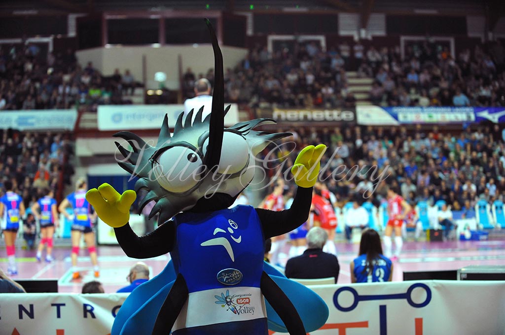 Igor NO-Bergamo (37)